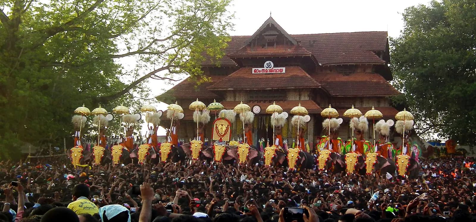 Caparisoned elephants under silk parasols facing the crowd at Thrissur Pooram in Kerala