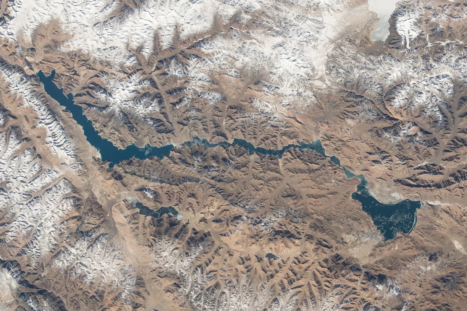Pangong Tso stretching blue between bare brown mountains in Ladakh